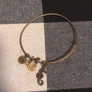 Alex and Ani